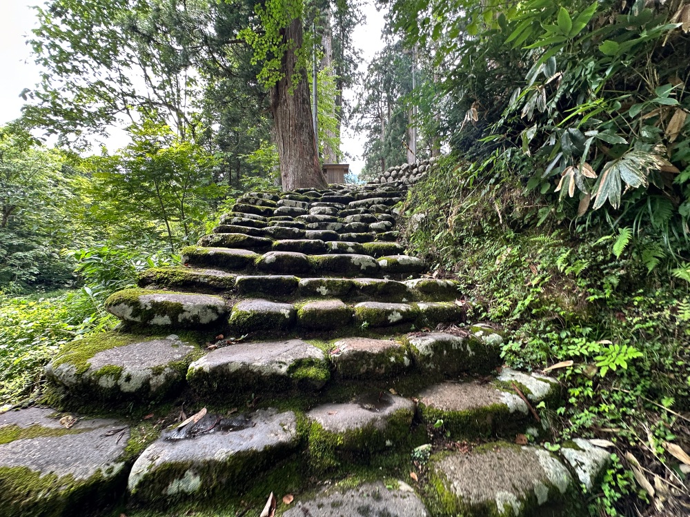苔むした石段も美しい