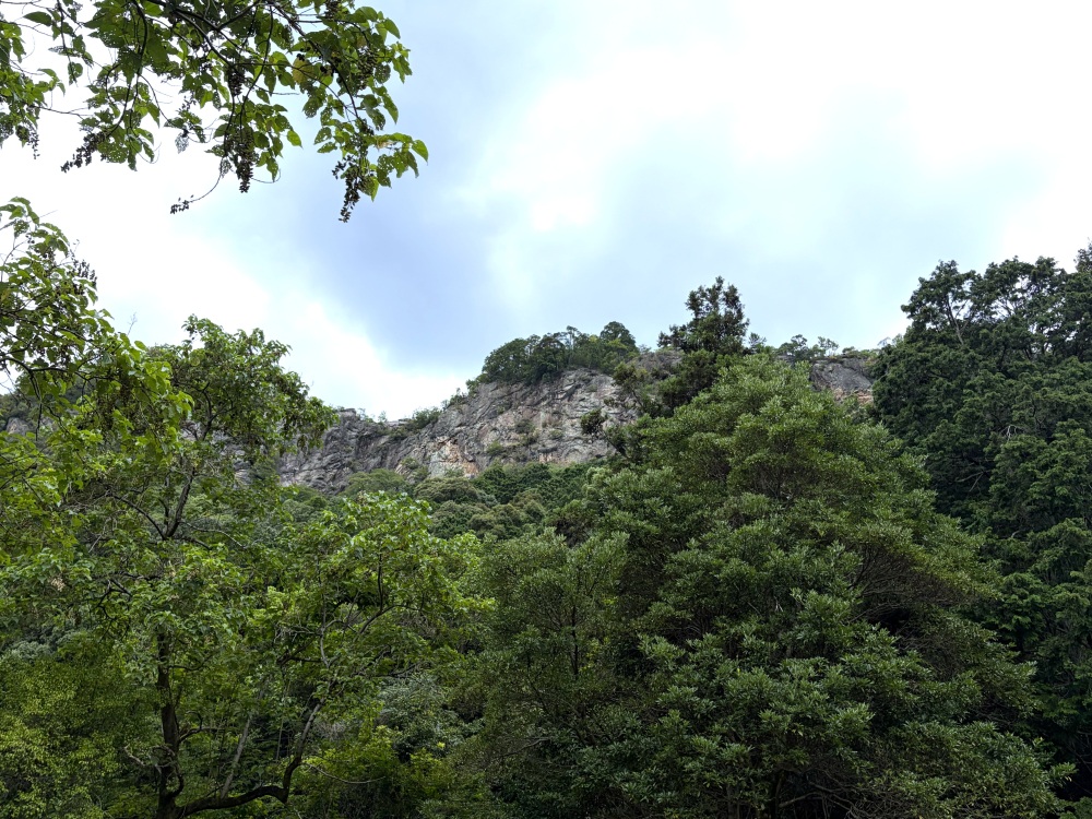 登山口から見晴らし岩を見上げる