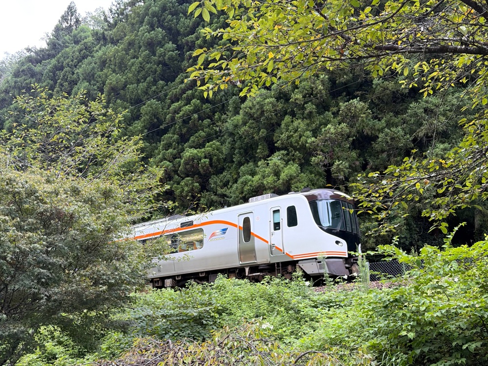 下呂温泉や飛騨高山へ向かう特急「ひだ」