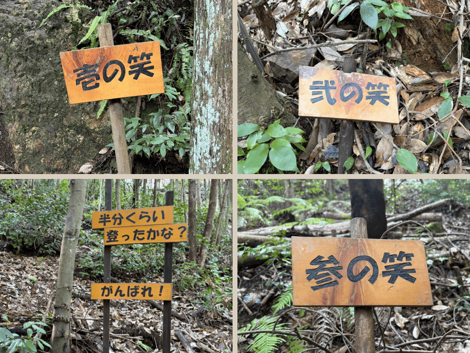 己の膝が笑うのか? 息の上がった情けない姿を山の神が笑うのか? 笑う余裕もなく必死に上を目指す(※個人差があります)