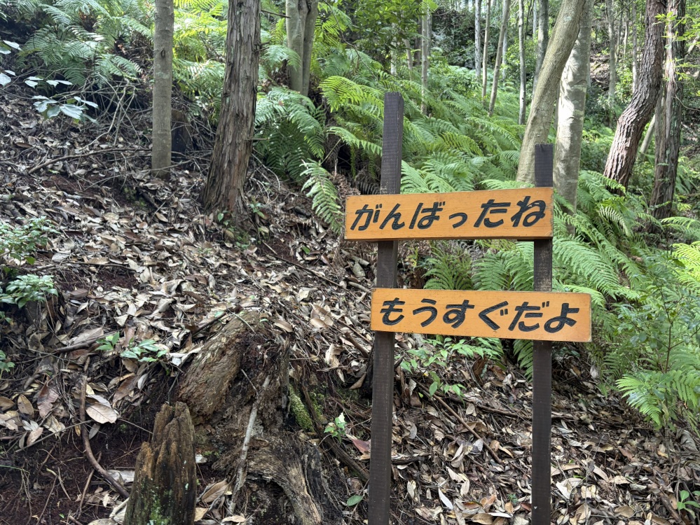 うれしくて看板の先に目を向けると、まだまだ無常に続く斜面が立ちはだかっていました…(※個人の感想です)
