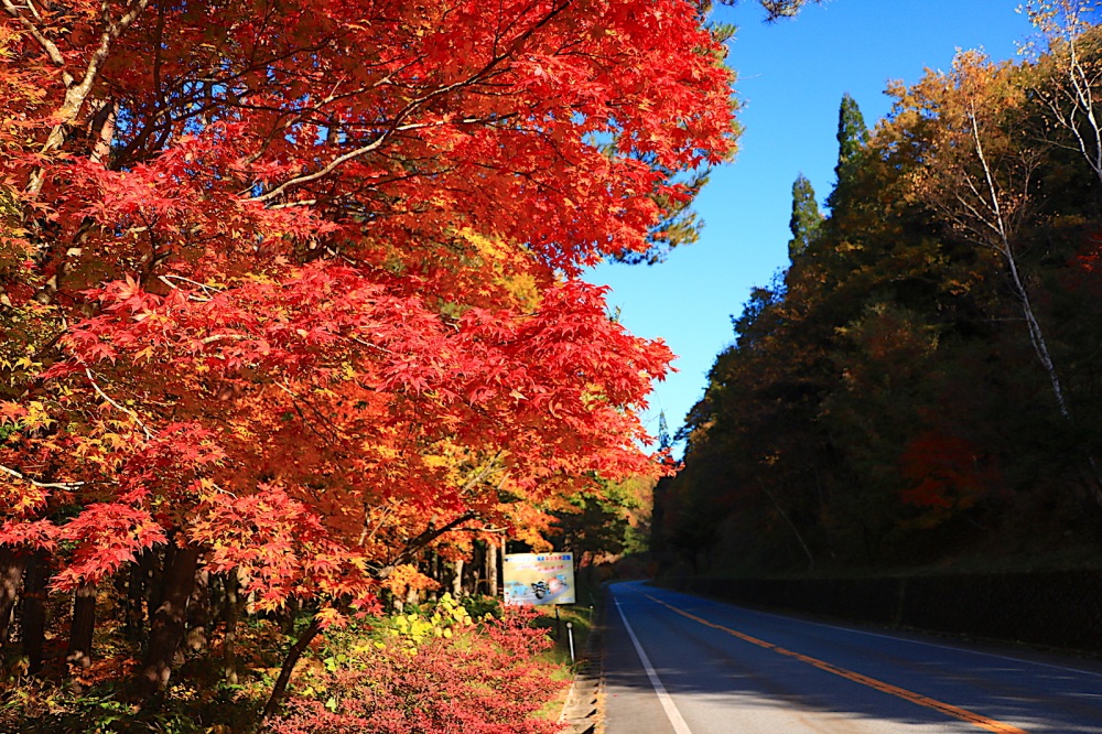 「この道、バイクで走りたい！」四季折々美しい、岐阜の道5選