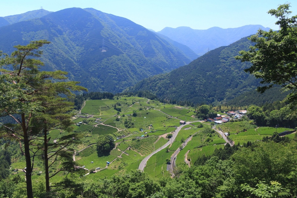 岐阜の登山・ハイキングスポット5選。心洗われる緑の絶景に出会う山旅
