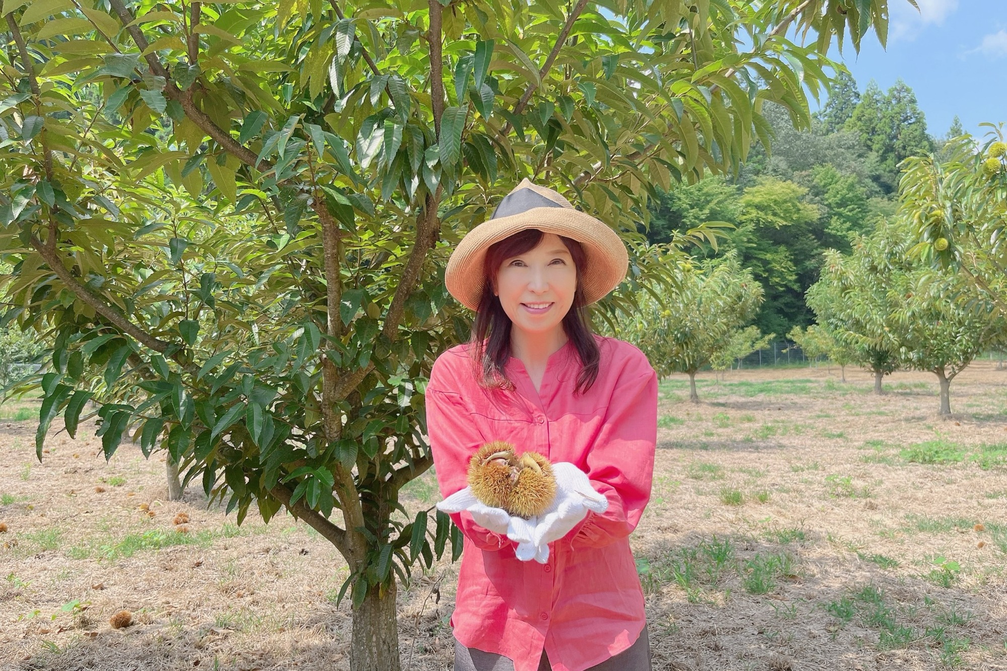 山県市で出会う！秋の味覚とふるさと栗まつり