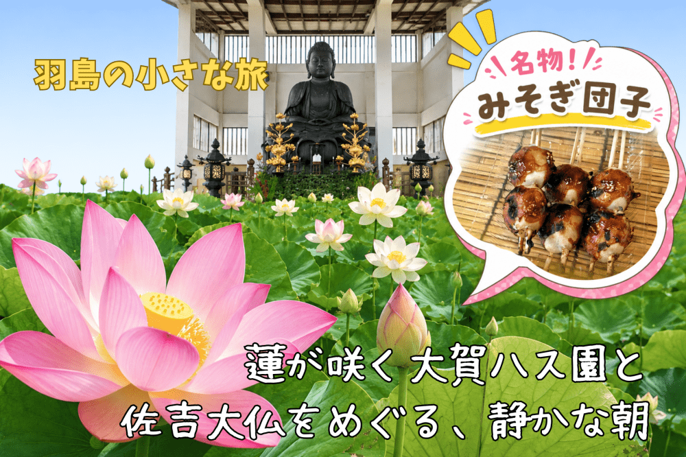 羽島の小さな旅｜蓮が咲く大賀ハス園と佐吉大仏をめぐる、静かな朝【6月〜7月見頃】