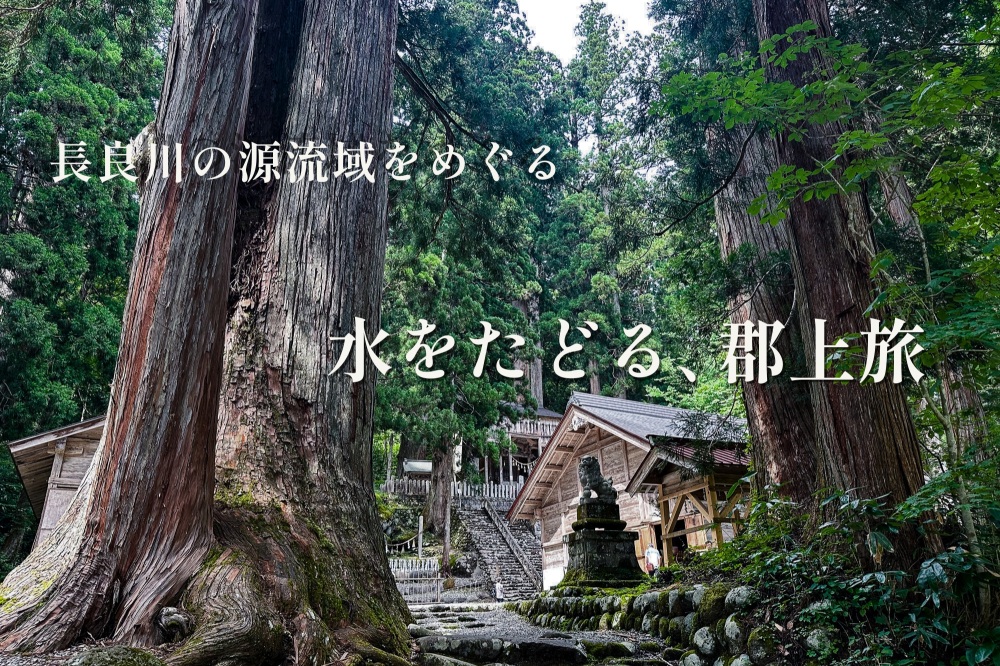 長良川の源流域をめぐる郡上ドライブ｜白山信仰と清流の恵みを感じる一日旅へ