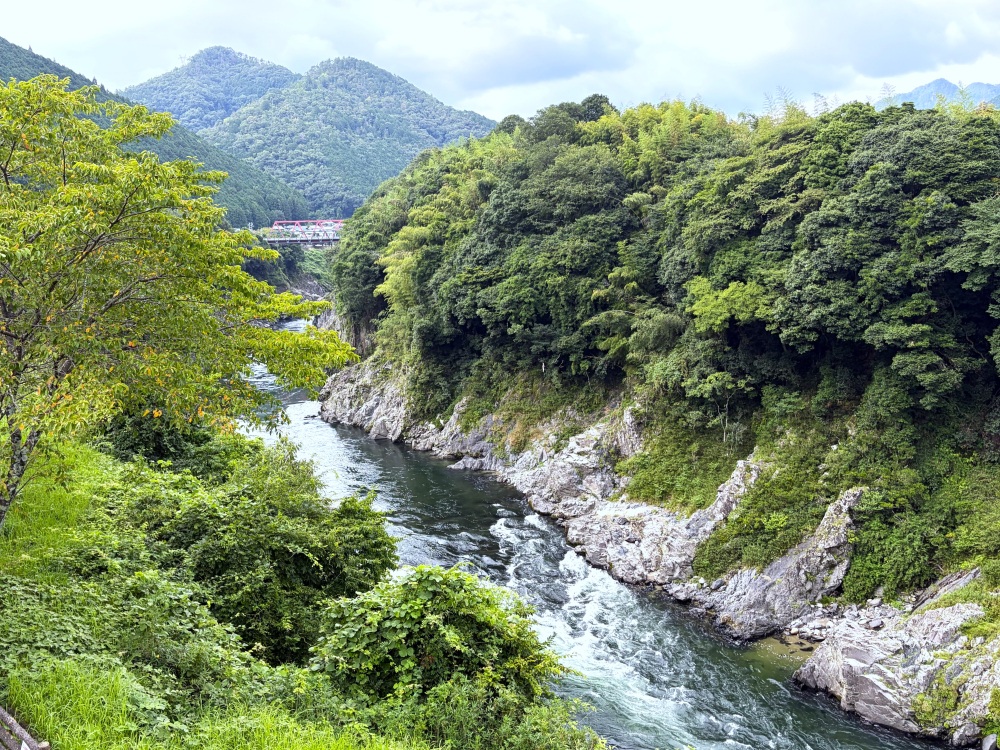飛騨川が刻んだ渓谷美に出会う旅｜遠見山・飛水峡ロックガーデン