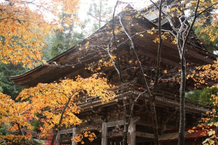 【秋の中濃･岐阜】紅葉とパワースポットで祈願女旅　１泊２日…