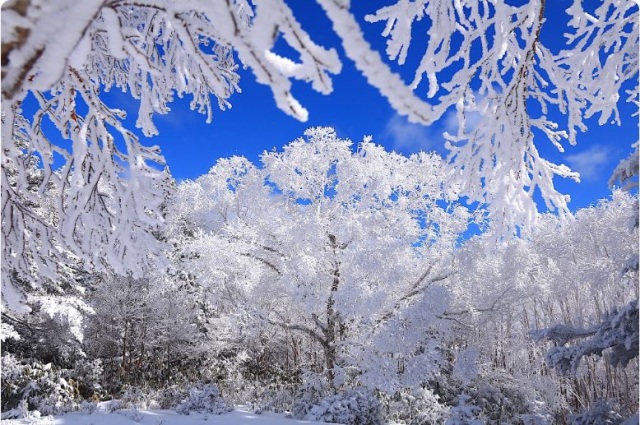 地元ライターおすすめ！岐阜の雪山登山スポット4選。冬の絶景・霧氷を愛でる山旅
