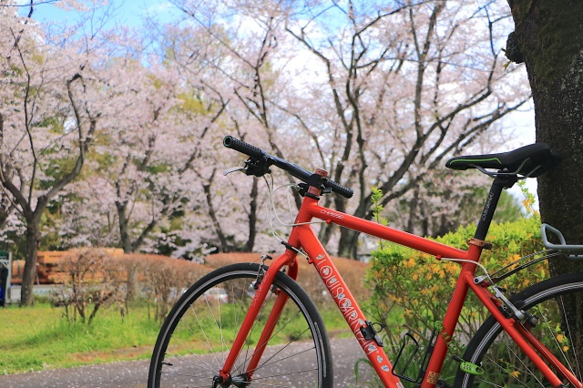 春の絶景を求めて。岐阜の桜サイクリングの魅力とおすすめエリア・スポット3選