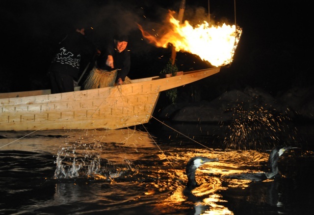 かがり火が照らす「小瀬鵜飼」の伝統の妙