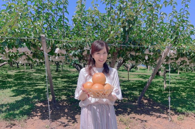 観光果樹園の体験とグルメ