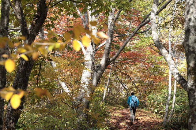 山之村でひそかに注目の「天蓋山」登山体験記