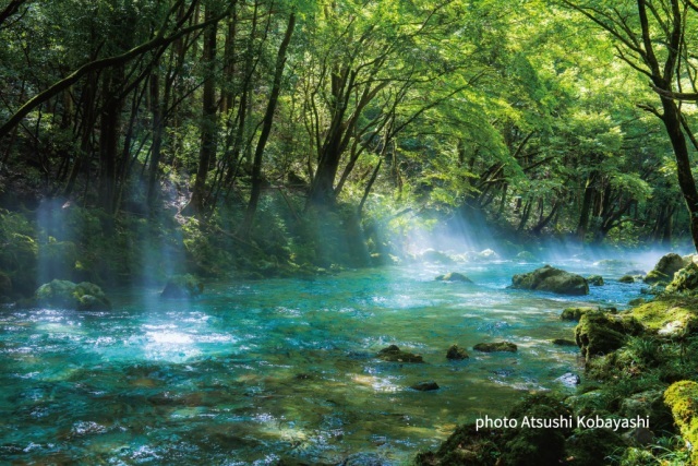 山県市の北山エリア