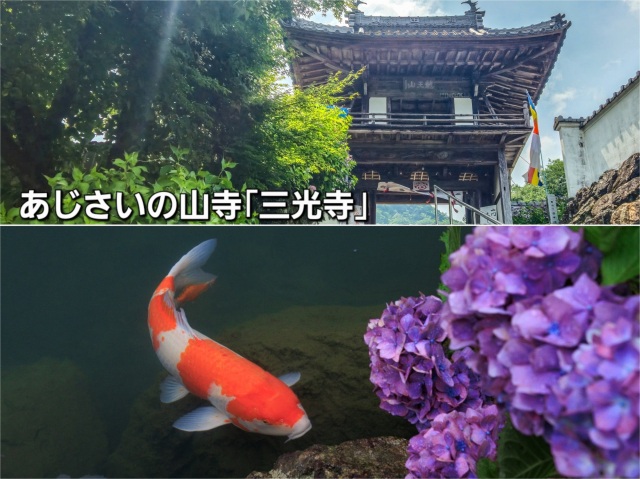 地元レポーター発！旅のコラム