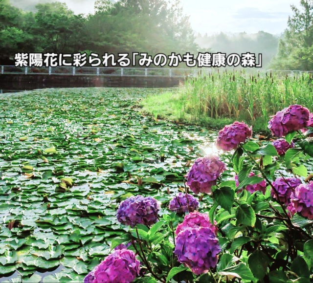 地元レポーター発！旅のコラム