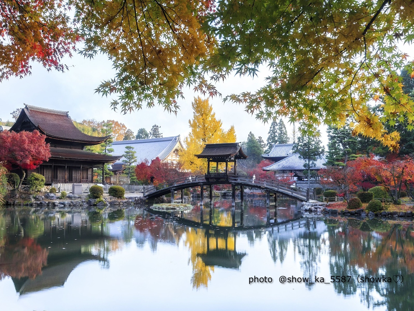 岐阜県観光公式サイト 「岐阜の旅ガイド」