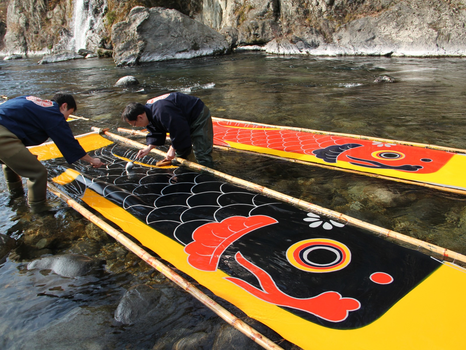 郡上本染鯉のぼり寒ざらし（郡上市）