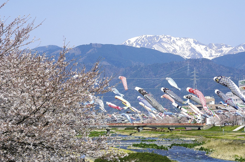 相川鯉のぼり一斉遊泳（垂井町）