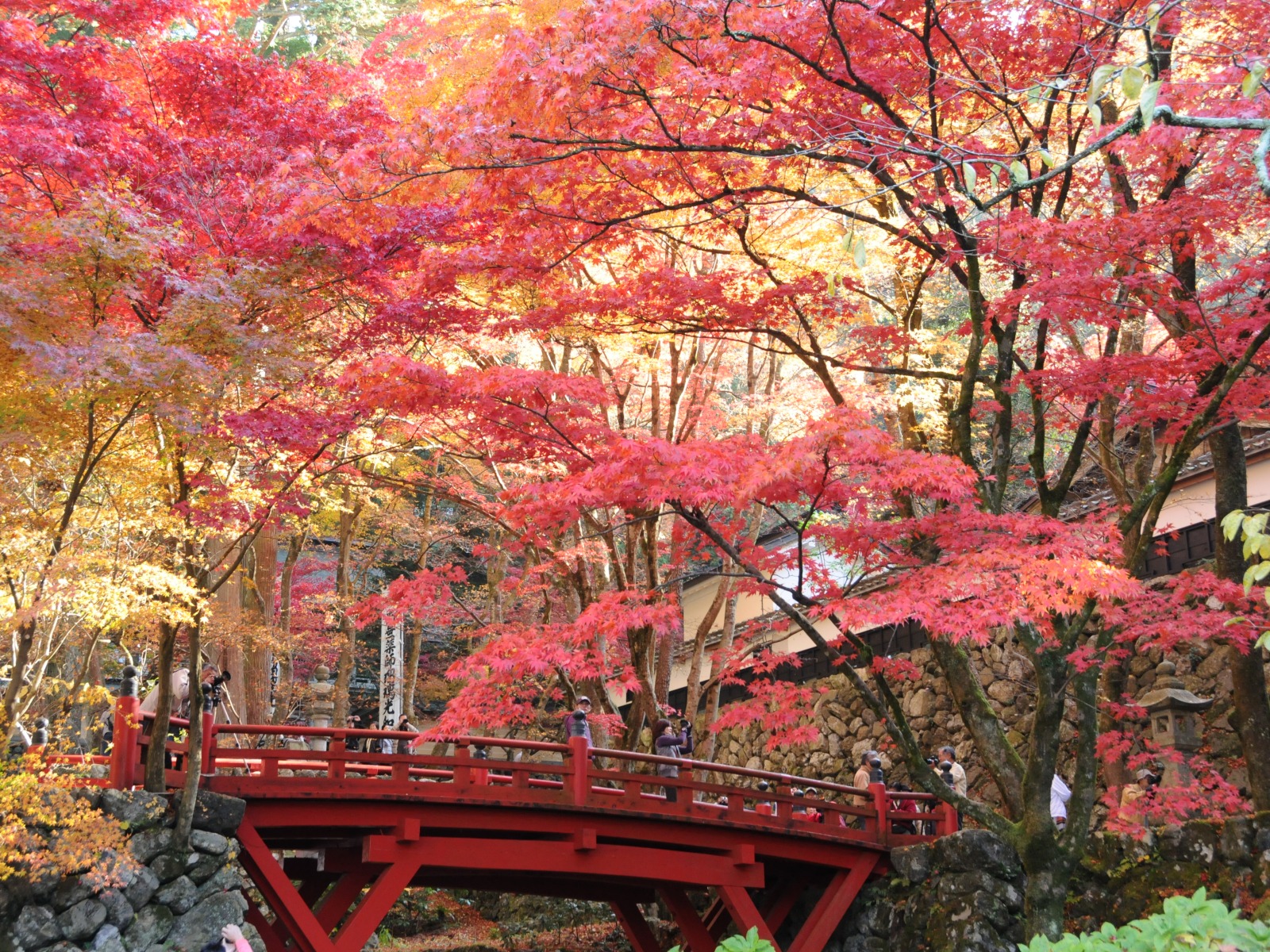 両界山横蔵寺(揖斐川町)
