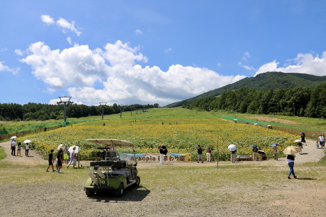 アルコピアひまわり園【高山市久々野町】