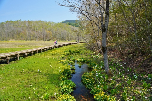 池ヶ原湿原