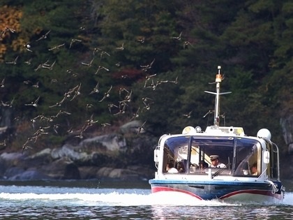 恵那峡遊覧船のバードウォッチング