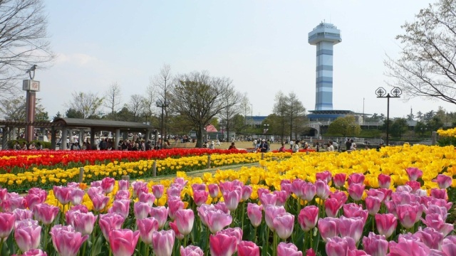 木曽三川公園センター「水と緑の館・展望タワー」【海津市】