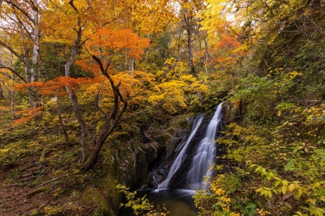宇津江四十八滝の紅葉　