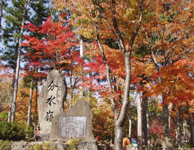 ひるがの高原の紅葉