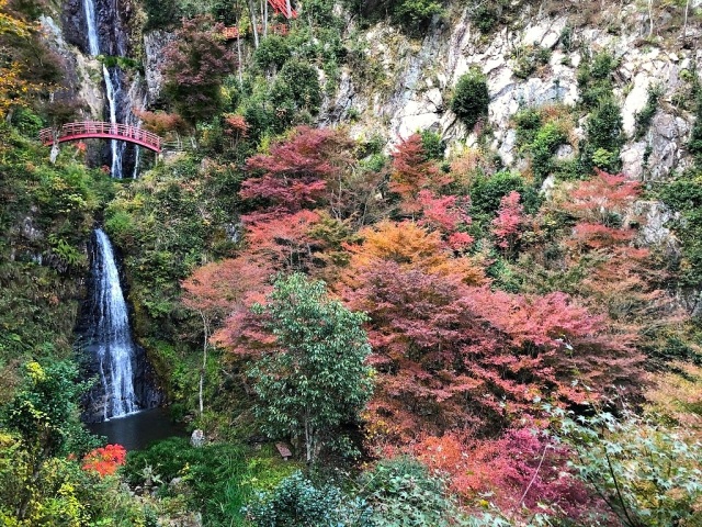 五宝滝の紅葉