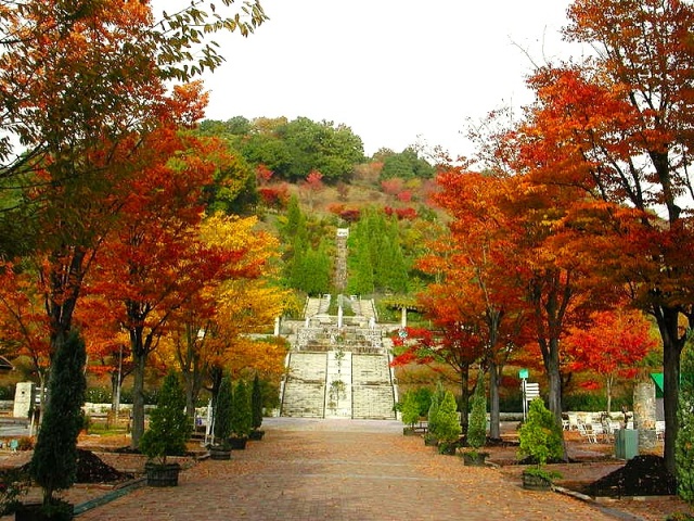ぎふワールド・ローズガーデンの紅葉　