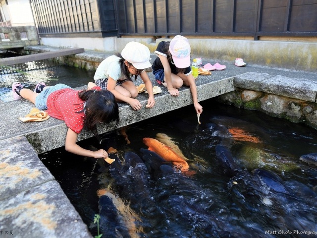 瀬戸川と白壁土蔵街
