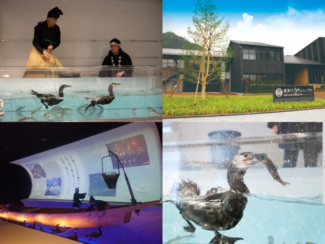 なんと参加費1000円で!鵜匠による、鵜飼の歴史、道具、装束などのお話や水槽を使って実際に鵜が水中で魚を捕らえる瞬間をご覧いただけます●長良川うかいミュージアム「鵜飼の実演」