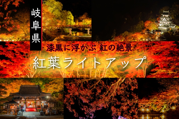 幻想的な夜の世界へ！岐阜県の紅葉ライトアップ【2025年】