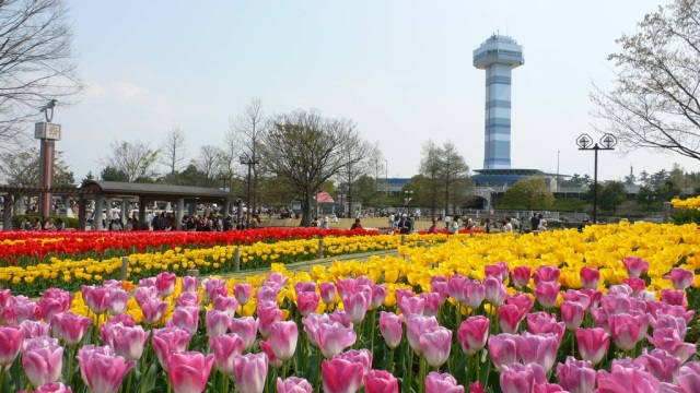 木曽三川公園センター「水と緑の館・展望タワー」
