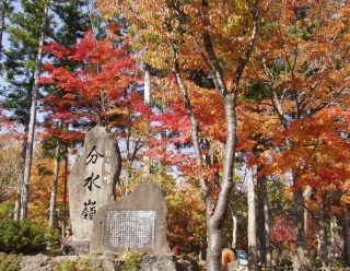 ひるがの高原の紅葉　