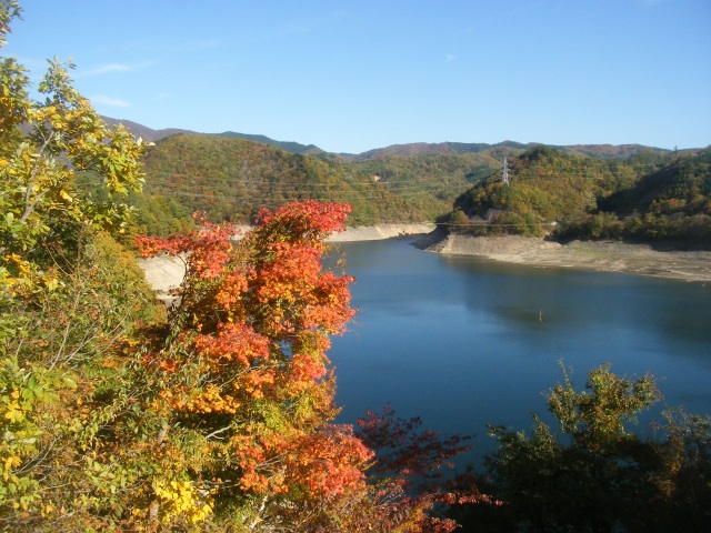 御母衣ダムの紅葉