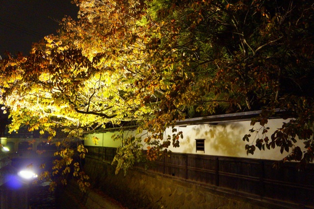 秋の江名子川ライトアップ