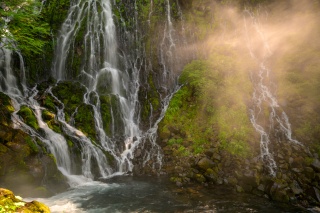 乗鞍山麓五色ヶ原の森
