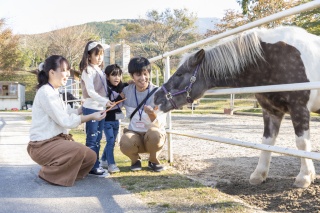 中津川ふれあい牧場