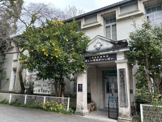 名和昆虫博物館