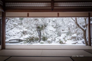 慈恩禅寺　荎草園