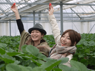 観光農園 廿原ええのお(いちご&ブルーベリー狩り)