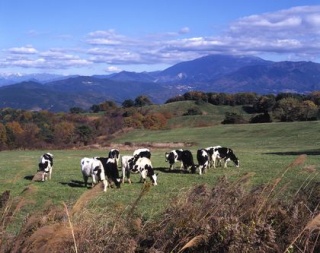 東濃牧場