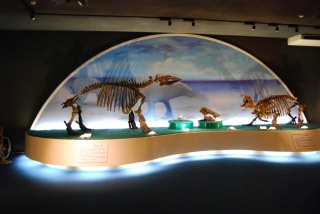 瑞浪市化石博物館