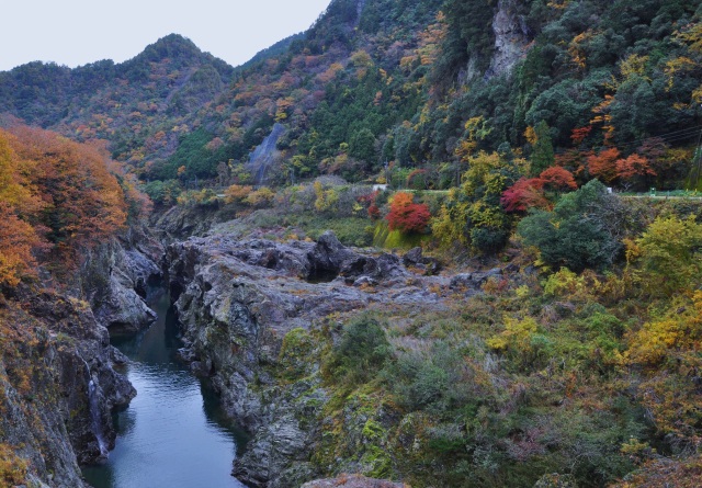 秋：色とりどりの紅葉が美しい、心落ち着く風景です