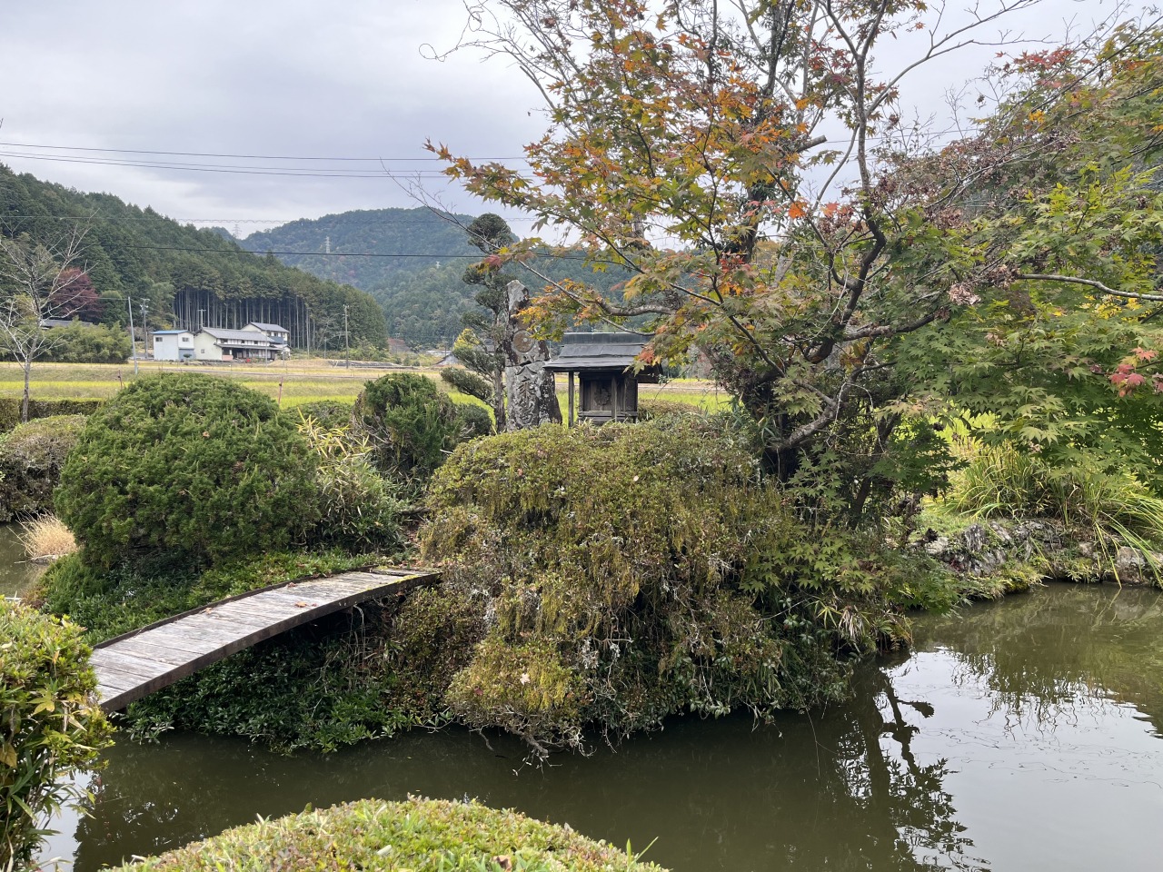 池には鯉が泳いでいます