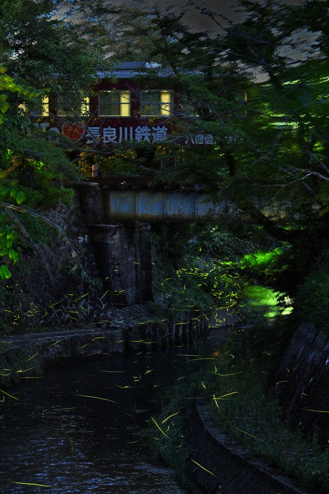 写真撮影：石田俊幸　（観光複合施設「せきてらす」横を流れる関川の様子）