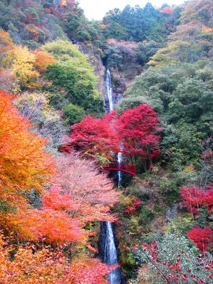 五宝滝の紅葉